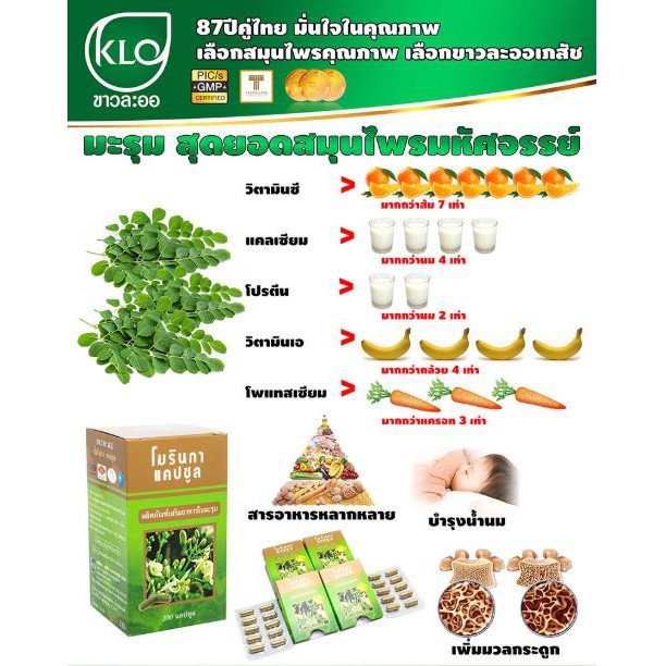 ขาวละออ-โมรินกา-moringa-ใบมะรุมชนิดแคปซูล-200-แคปซูล