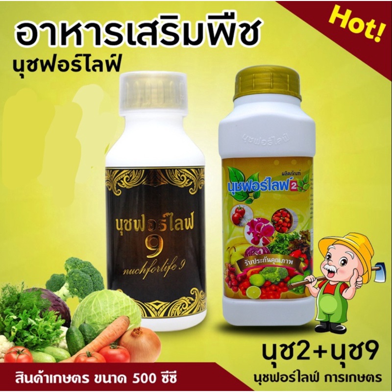 นุชฟอร์ไลฟ์2-นุช9-ขนาด-500-ซีซี-2-ขวด