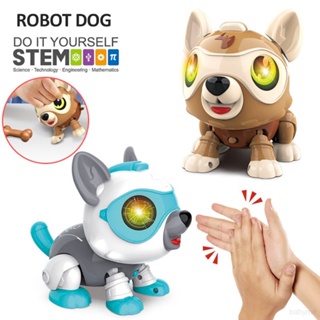 ของเล่นหุ่นยนต์สุนัขอิเล็กทรอนิกส์ ควบคุมด้วยเสียง ของขวัญวันเกิด สําหรับเด็ก DIY