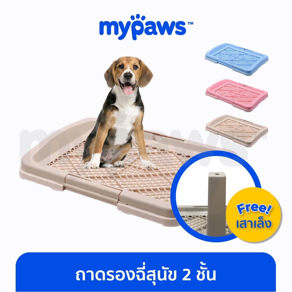 ภาพหน้าปกสินค้าMy Paws ถาดรองฉี่สุนัข 2 ชั้น ฟรี  เสาให้น้องเล็ง (F) ห้องน้ำสุนัข Dog Toilet Tray จากร้าน my_paws บน Shopee