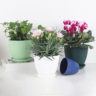 【AG】1 Set Plant Pot Strong Not Easily Deformed Fine Workmanship Modern Decorative Nursery Container Bonsai Accessories