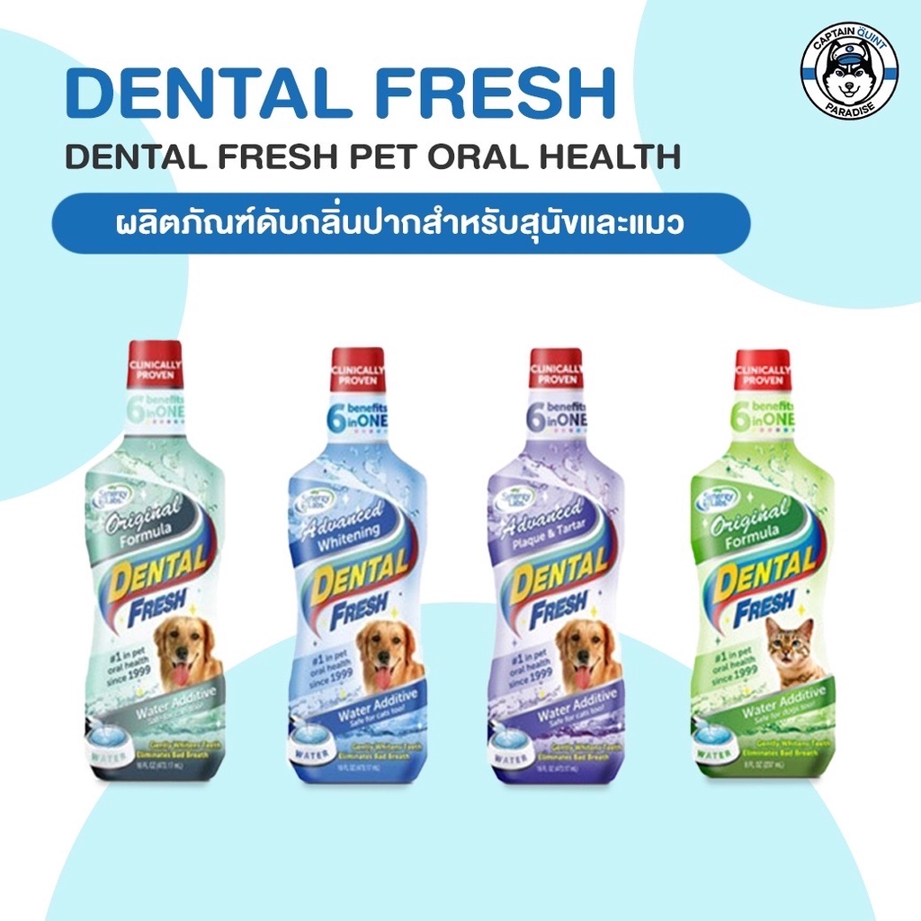 dental-fresh-น้ำยาลดกลิ่นปากสุนัข-ดูแลสุขภาพในช่องปาก-ลดหินปูน