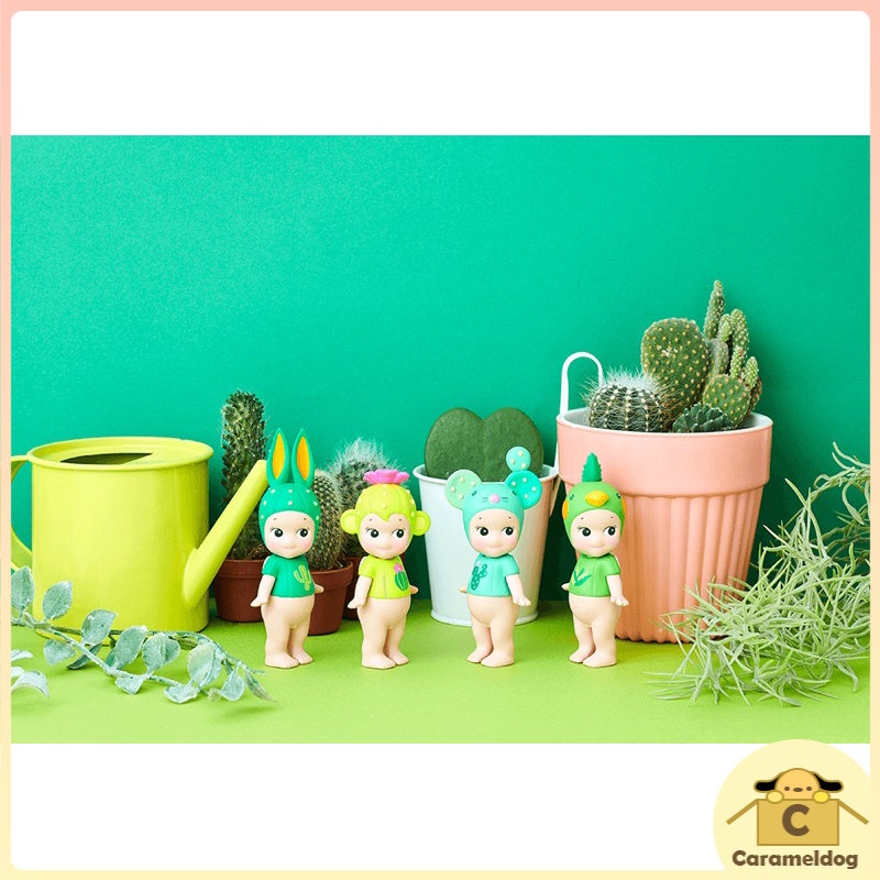 sonny-angel-cactus-series