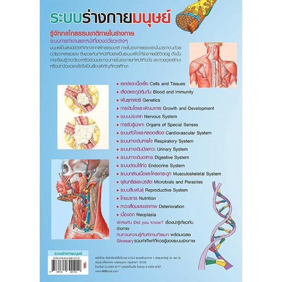 หนังสือ-ระบบร่างกายมนุษย์-human-body