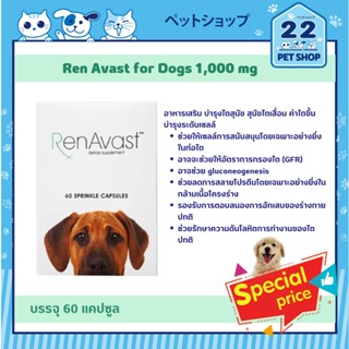 Ren Avast for Dogs 1,000 mg อาหารเสริม บำรุงไตสุนัข สุนัขไตเสื่อม ค่าไตขึ้น บำรุงระดับเซลล์ บรรจุ 60 แคปซูล