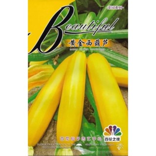 เมล็ดพันธุ์  ซูกินี Golden zucchini สายพันธุ์ F1 หวานกรอบ อร่อย บรรจุ 5 เมล็ด