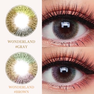 คอนแทคเลนส์ (ลิมิเตด) รุ่น Wonderland Gray / Brown &lt;&lt;&lt; แบบสายตาปกติและสายตาสั้น