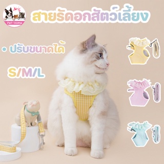 COD😸สายจูงสัตว์เลี้ยง สายจูง สายจูงแมวลูกไม้ สายจูงสุนัข สายจูงแมว ยืดหยุ่น สายรัดอกสุนัข สายรัดอกสัตว์เลี้ยง