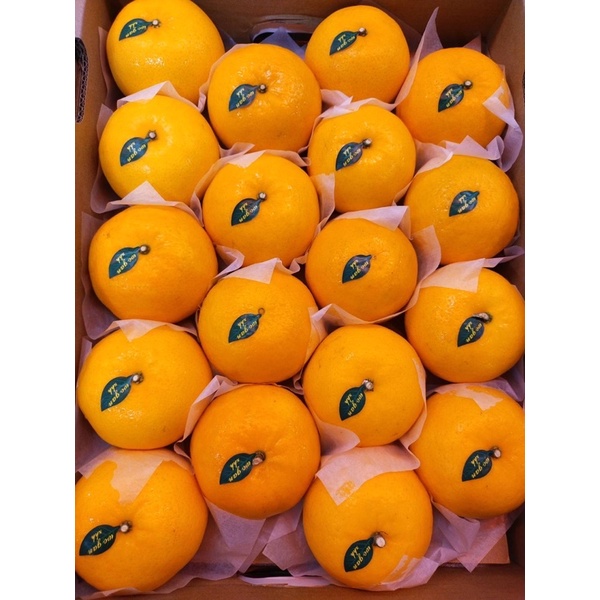ส้มไต้หวันตะกร้าหวานหอม