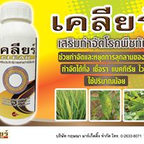 เคลียร์-20ml-สารเสริมประสิทธิภาพ-ช่วยให้สารกำจัดโรคพืชมีประสิทธิภาพมากขึ้น-ป้องกันโรคเชื้อรา-แบคทีเรีย-ไวรัส-ขัดผิวผลผล