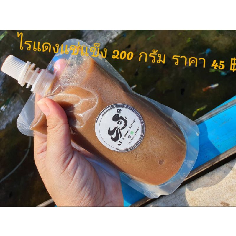 อาหารปลาไรแดงแช่แข็ง-200ml-มีประกันระหว่างขนส่ง