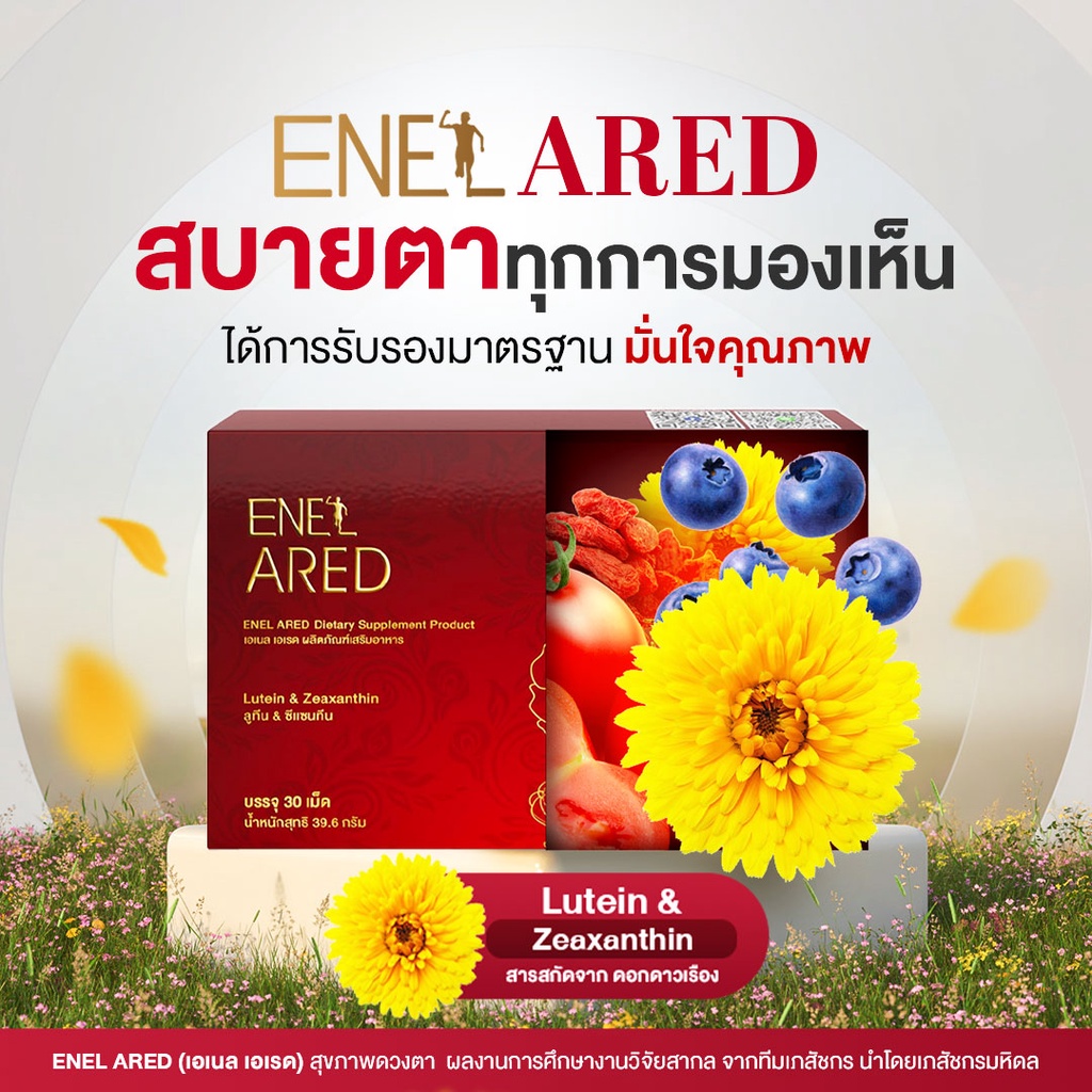 ภาพสินค้าENEL APlus (เอเนล เอพลัส) ลูทีน ซีแซนทีน บิลเบอร์รี่ แอสตาแซนธิน ไลโคปีน สารอาหาร 11ชนิด 4 กล่อง (120 เม็ด) จากร้าน enelthailand_official บน Shopee ภาพที่ 3