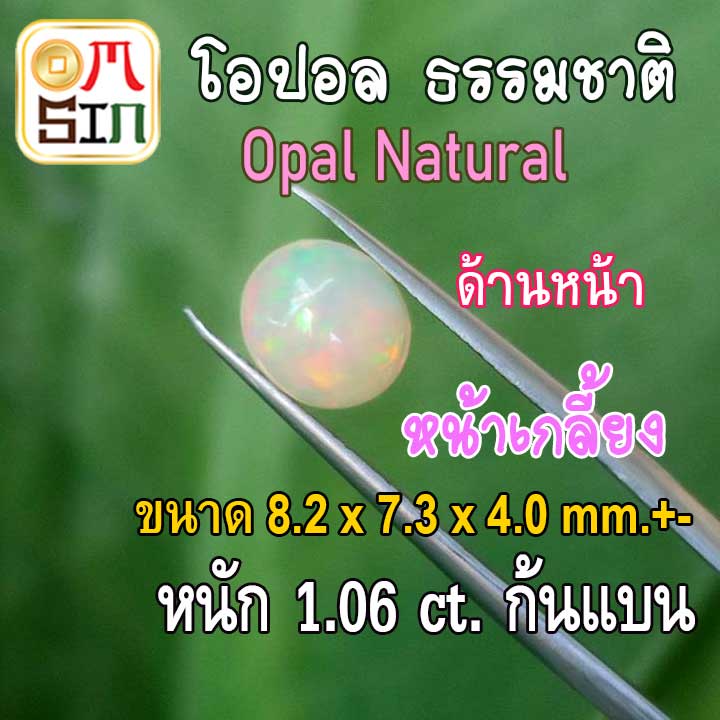 op001-พลอย-โอปอล-opal-natural-ไข่-8-2-x-7-3-x4-0-mm-หนัก-1-06-ct-มีเหลือบรุ้ง-ก้นแบน-พลอยสด-ธรรมชาติแท้-ดิบ-ไม่เผา