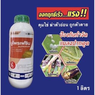 บูโพรเฟซิน คุมไข่เพลี้ย-ไข่หนอน กำจัดตัวอ่อน ยับยั้งการลอกคราบ 1 ลิตร