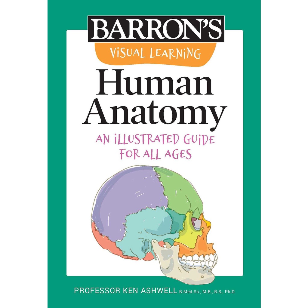 asia-books-หนังสือภาษาอังกฤษ-barrons-visual-learning-human-anatomy