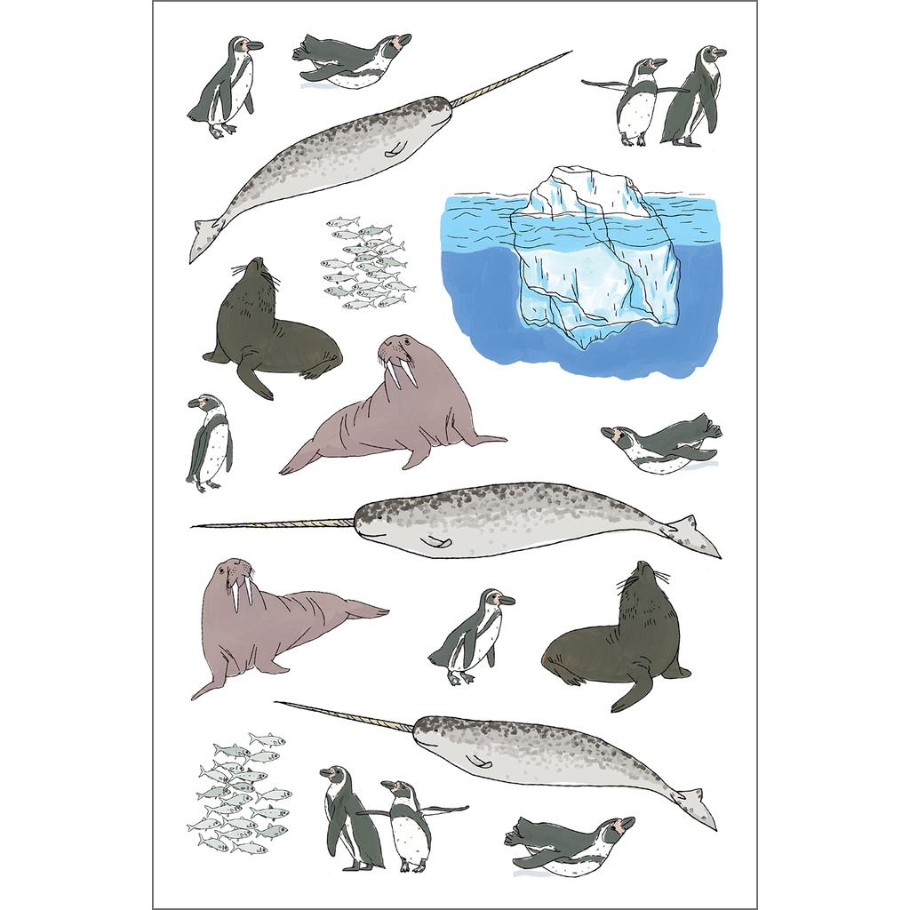 หนังสือภาษาอังกฤษ-ocean-anatomy-sticker-book-a-julia-rothman-creation-more-than-750-stickers-by-julia-rothman
