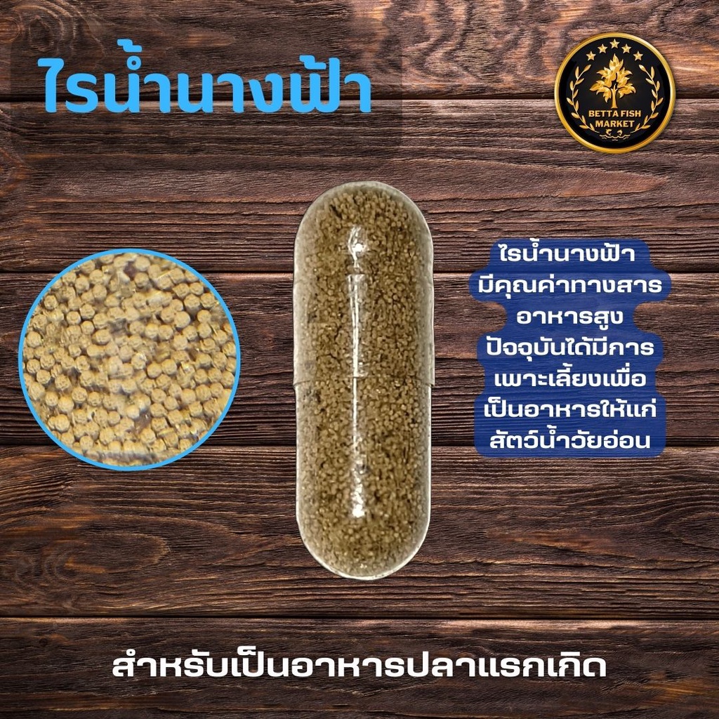 ไข่ไรนางฟ้า-1-แคปซูล-อาหารสดอนุบาลลูกปลาอัตราการรอดสูง-มีคู่มือเพาะฟักแนะนำ