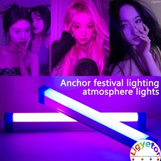 【Fairy Light】หลอดไฟฉุกเฉิน LED RGB แบบมือถือ สําหรับตกแต่งคริสต์มาส