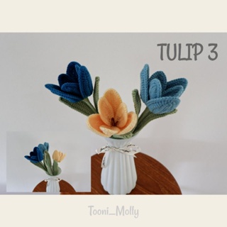 ทิวลิปบาน 3 (Tulip 3)