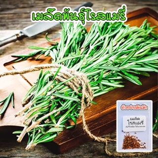 โรสแมรี ออร์แกนิค เมล็ดพันธุ์ Rosemary ปลูกง่าย อัตรางอกดี (ซื้อ 10 แถม 1 คละได้)