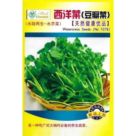 เมล็ด-วอเตอร์เครส-แท้-1-000-เมล็ด-ผักน้ำเบตง-watercress-ไม่ใช่ผักเป็ดญี่ปุ่น