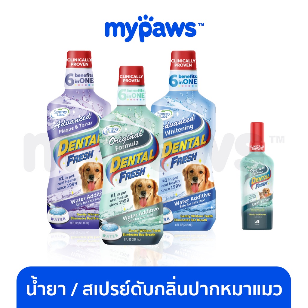 รูปภาพของMy Paws Dental Fresh (OF) - ผลิตภัณฑ์ดูแลสุขภาพในช่องปาก- น้ำยาลดกลิ่นปากสุนัขลองเช็คราคา
