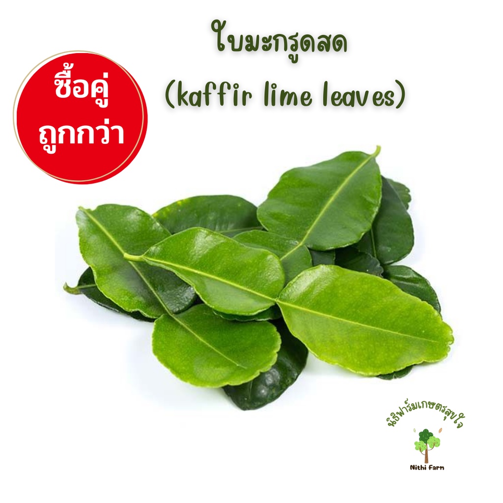 ใบมะกรูด สด (kaffir lime leaves) ปลอดสารพิษ | Shopee Thailand