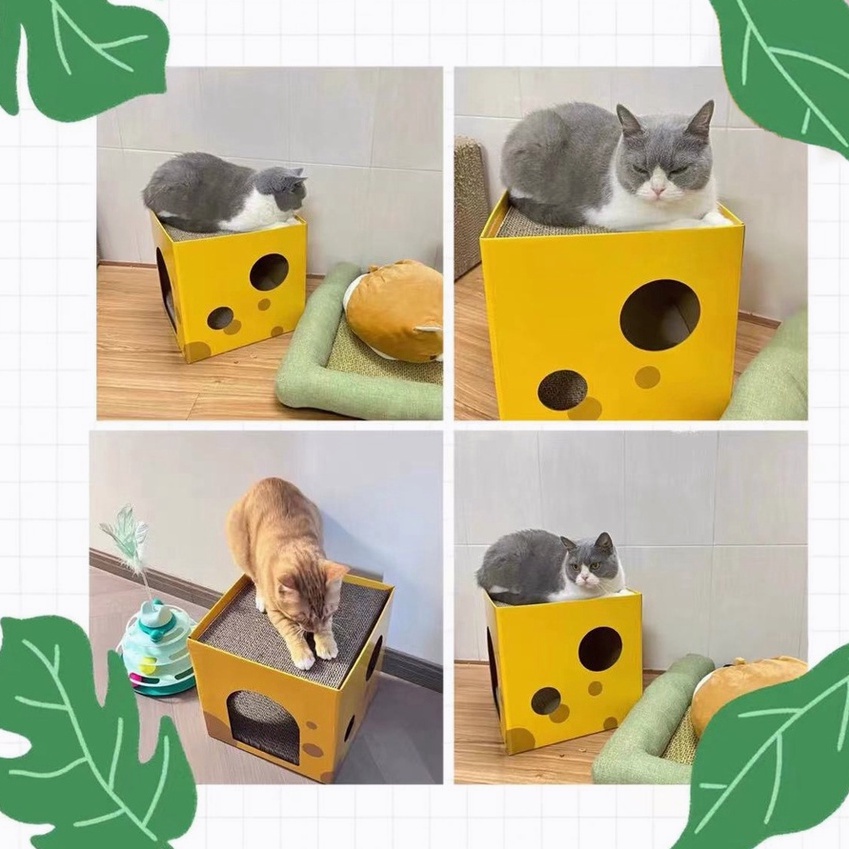 cod-ที่ลับเล็บแมว-ที่ข่วนเล็บแมว-2-ชั้น-ของเล่นแมว-กระดาษลับเล็บแมว-อุปกรณ์สำหรับสัตว์เลี้ยง