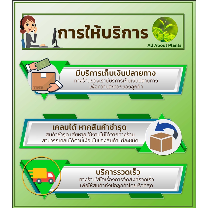 มาเฟอร์-1kg-ผงสีเหลือง-แมนโคเซบ-สารป้องกันกำจัดโรคพืช-สารป้องกันเชื้อรา-โรคราสนิม-โรคใบจุด-โรคใบไหม้-allaboutplants