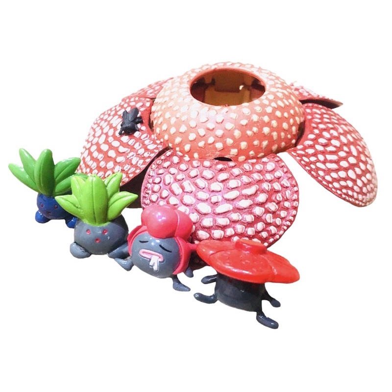 pokemon-evolution-of-rafflesia-and-japan-rafflesia-corpse-flower-plant-pvc-figure-model-โปเกม่อน