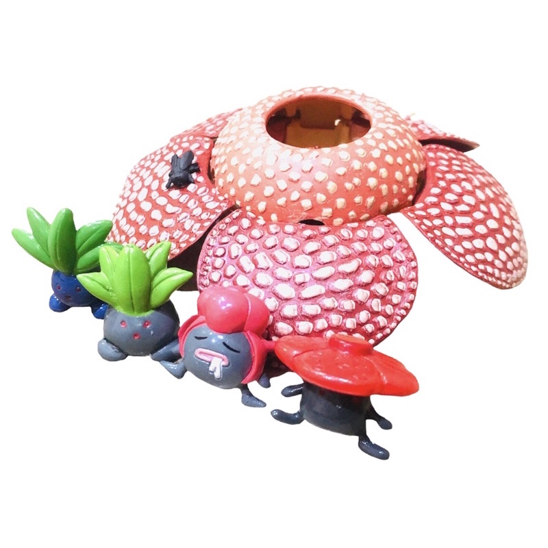 Pokemon Evolution of Rafflesia and Japan Rafflesia corpse flower plant ...