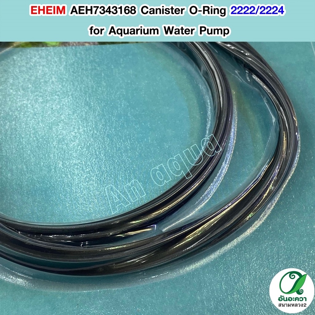 eheim-aeh7343168-canister-o-ring-2222-2224-โอริง-อีฮาม