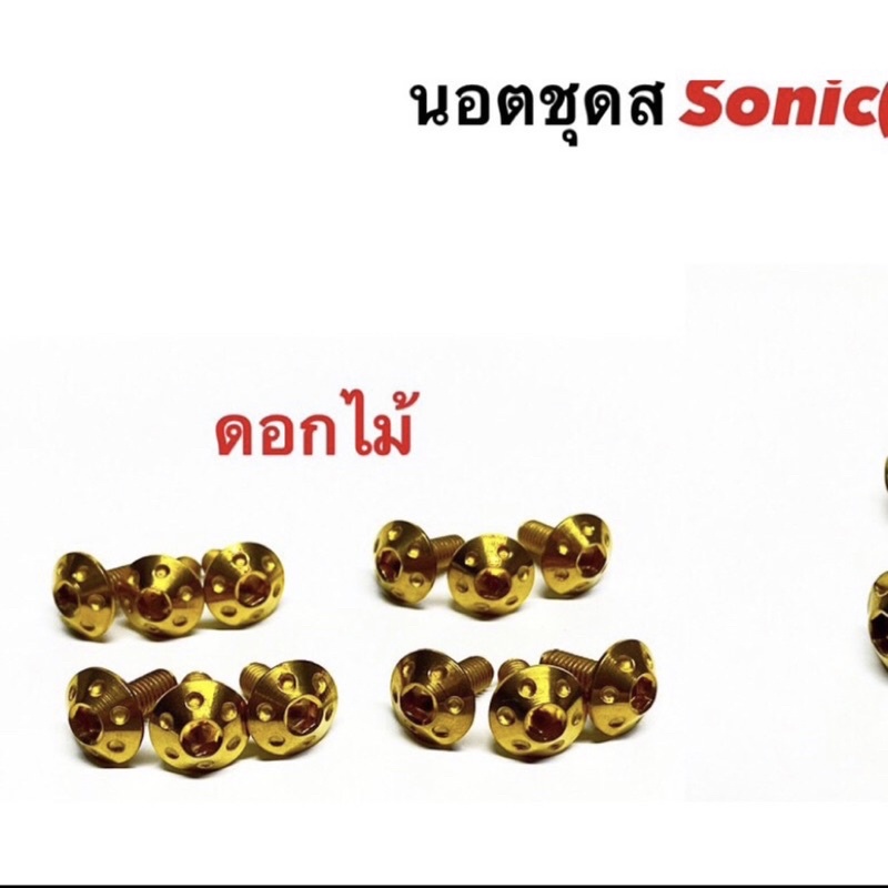 น็อตชุดสีนิวโซนิค12ตัว-น็อตชุดสีโซนิคตัวใหม่-สแตนเลสแท้100-สีทอง