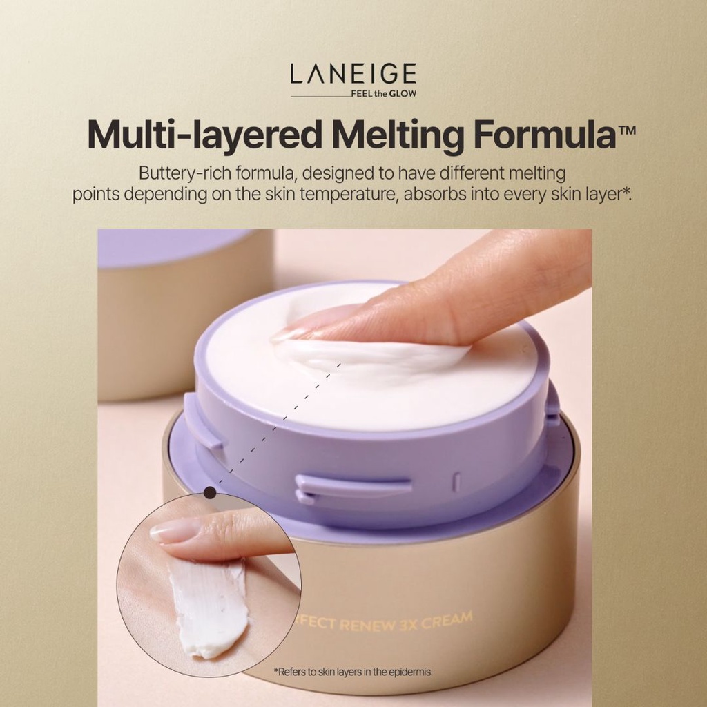 LANEIGE Perfect Renew 3X Cream 50ml ЪѺе͵ҹǧ |  Shopee Thailand