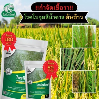 กำจัดเชื้อรา สาเหตุของโรคใบจุดสีน้ำตาล ในต้นข้าว ไตรโคเดอร์มา ไตรโคเร็กซ์ ปลอดภัยต่อคนและสัตว์เลี้ยง