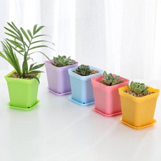 【AG】Square Plastic Flower Succulent Plant Pot Planting Holder Flowerpot with Tray