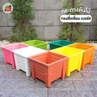 กระถางเหลี่ยม 6นิ้ว กระถางต้นไม้สี่เหลี่ยม 6นิ้ว สีสดใส กระถางต้นไม้