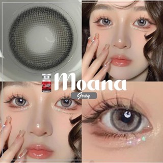 LovelyLens Moana Eff.17 Gray กลาง