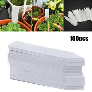 【ECHO】100 * Plant Labels White Waterproof, Plastic Garden Labels Gardening Plant New【Echo-baby】