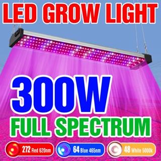 โคมไฟ Led 300W 200W 100W สําหรับปลูกพืชเรือนกระจก