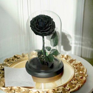 🌹Preserved Rose Flower ดอกกุหลาบอมตะในโหลแก้ว สวยสดนาน5ปี กุหลาบสีดำ