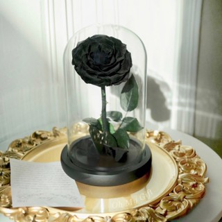 🌹Preserved Rose Flower ดอกกุหลาบอมตะในโหลแก้ว สวยสดนาน5ปี กุหลาบสีดำ