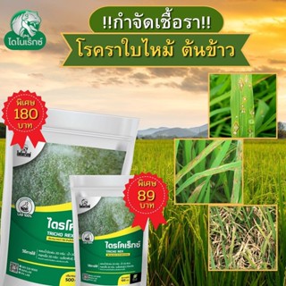 กำจัดเชื้อรา สาเหตุของโรคใบไหม้ ในต้นข้าว ไตรโคเดอร์มา ไตรโคเร็กซ์ ปลอดภัยต่อคนและสัตว์เลี้ยง