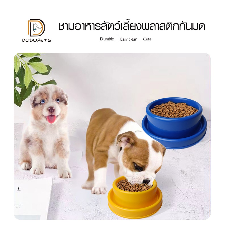 dudupets-ชามอาหารสัตว์เลี้ยงพลาสติกกันมด-12x18x6ซม-รุ่น-spicy-04-สีเหลือง