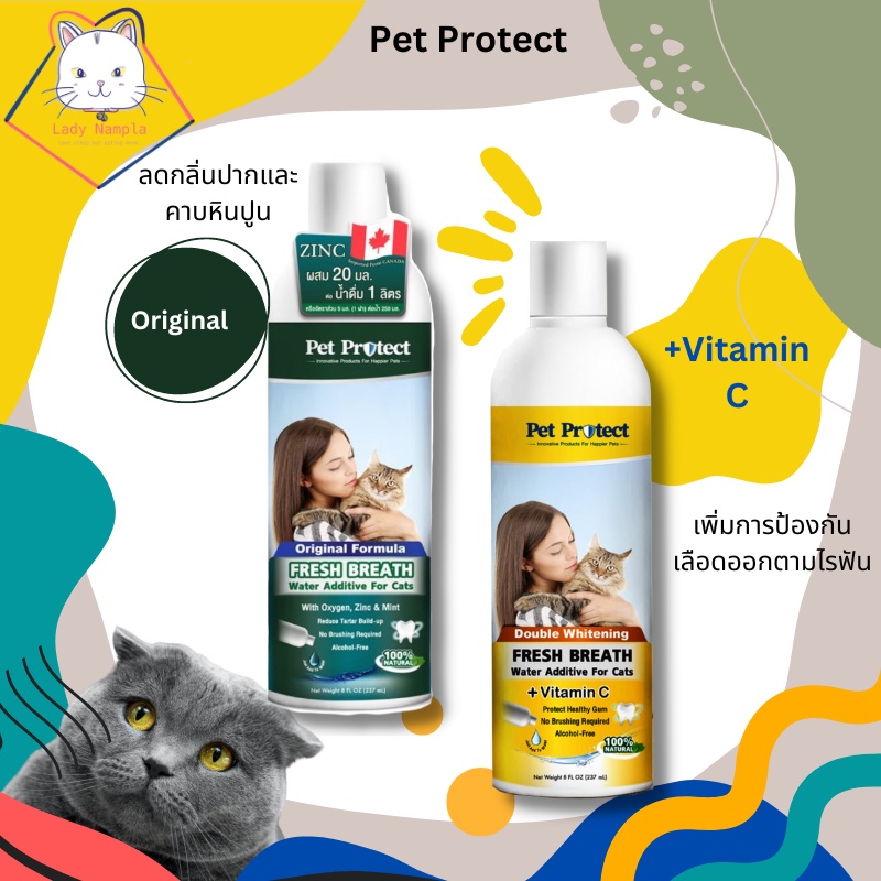 รูปภาพของPet Protect Cat น้ำยาดับกลิ่นปากน้องแมว สูตร Original / Vitamin Cลองเช็คราคา