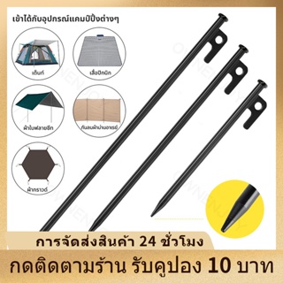 สมอบก สมอบกเหล็ก ฟรายชีท สมอบก 20cm/30cm แข็งแรง ทนทาน สมอบกเหล็กหล่อ อุปกรณ์แคมป์ปิ้ง สมอกางเต็นท์