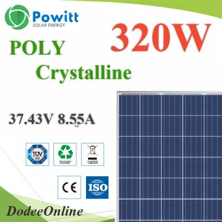 .320W แผงโซลาร์เซลล์ Poly crystalline PV Solar Module POWITT รุ่น POLY-320W DD