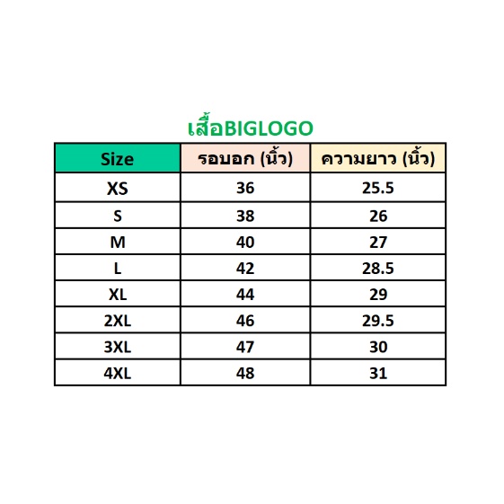 เสื้อbiglogo-เสื้อสีดำตัวหนังสือสี-เขียว-ชมพู-ทอง-เหลือง