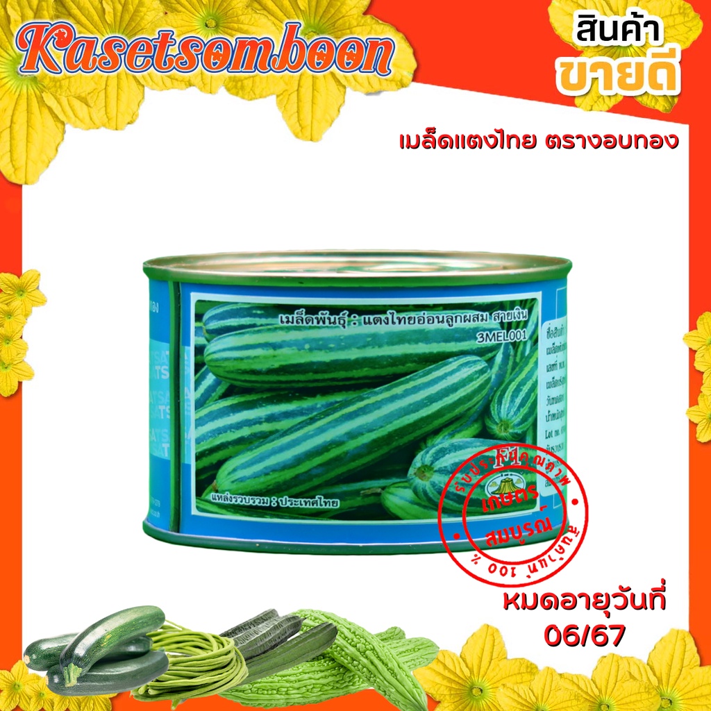 ภาพหน้าปกสินค้าเมล็ดแตงไทยอ่อน สายเงิน 50 ก. ยาว 12-16 ซม. ผลเขียว เป็นลายทาง เนื้อแน่น ตรางอบทอง จากร้าน kasetsomboon_store บน Shopee