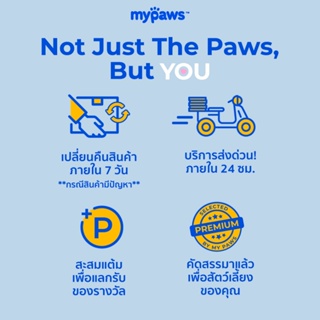 ภาพขนาดย่อของภาพหน้าปกสินค้าMy Paws เสื้อสุนัข เสื้อแมว (G) ชุดสัตว์เลี้ยงน่ารัก เสื้อสัตว์เลี้ยง คุณ จากร้าน my_paws บน Shopee